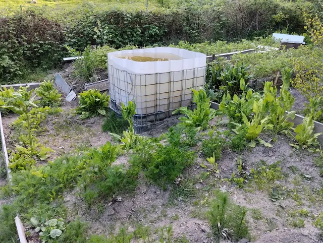 "Selbstverständlich wird kein motorisiertes Gerät und auch kein Spritzmittel oder Kunstdünger verwendet. Es ist alles Bio." | Foto: Kowarik