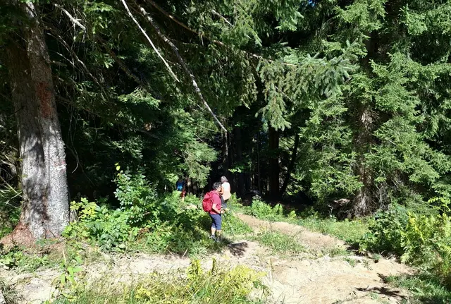 Jetzt geht's bergab.... | Foto: H.Bachinger