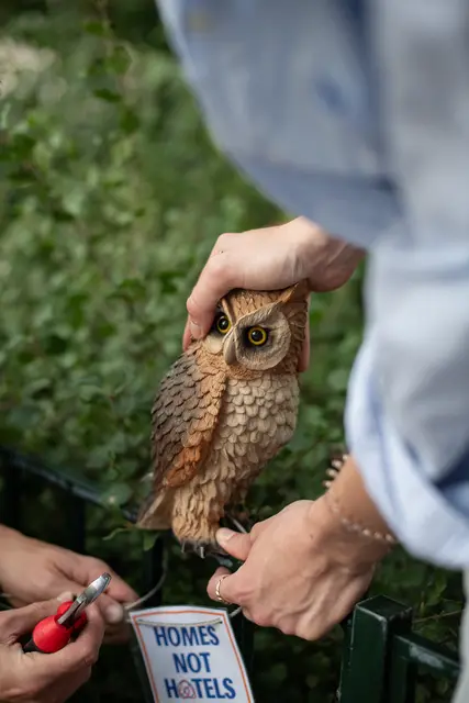 Foto: Eliott Lang/LINKS