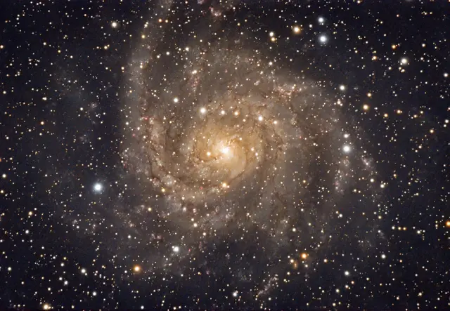 Die versteckte Galaxie IC342 im Sternbild Giraffe | Foto: Günter Kleinschuster