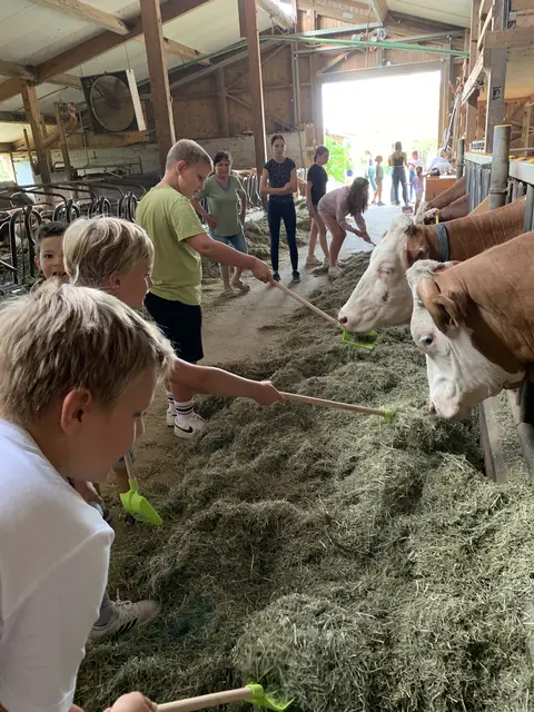 Im Rahmen des Sommercamps stand auch der Besuch der Käserei Fischer in Neurath auf dem Programm | Foto: Sommercamp