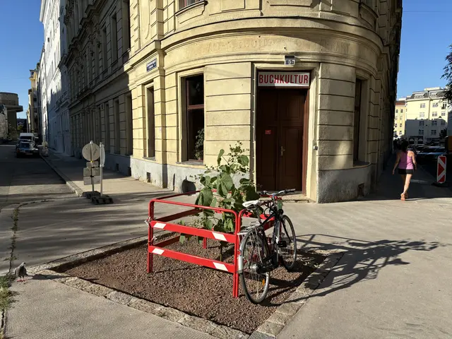 Die knallrote Absperrung und das hohe Unkraut fallen an der Landstraßer Kreuzung direkt ins Auge.   | Foto: Luca Arztmann/MeinBezirk
