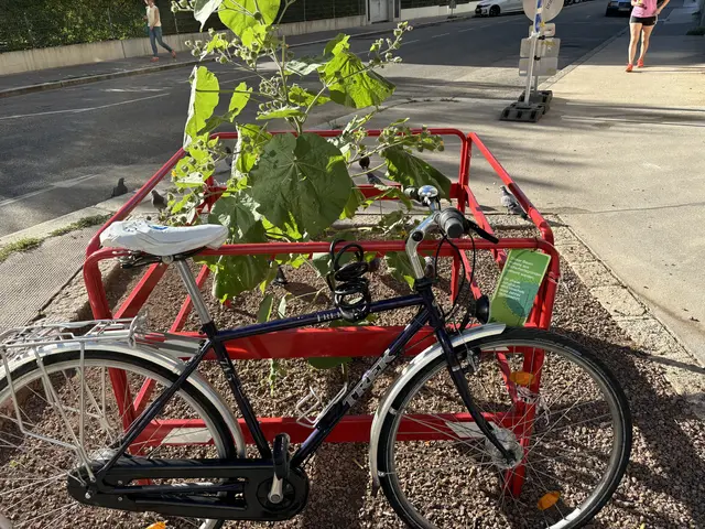 Bei der Kreuzung Barmherzigengasse/Eslarngasse sollte aktuell eigentlich ein Jungbaum aufblühen. Allerdings wuchs der Fächerblattbaum aus ungeklärten Gründen nicht. MeinBezirk ging dem Ganzen nach. | Foto: Luca Arztmann/MeinBezirk