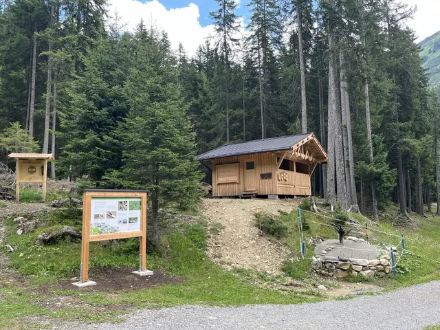 Das neue Bienenhaus ist ein wahres Schmuckstück. | Foto: KLAR! Arlberg/Patrick Baetz