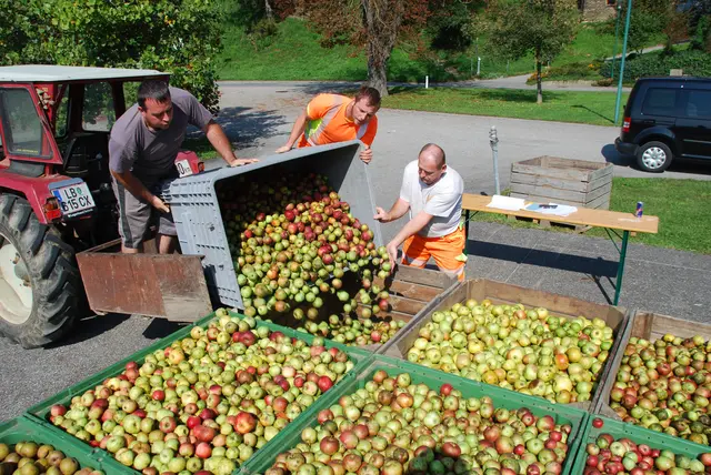 Um die Nutzung des Obstes für alle Bürgerinnen und Bürger leichter zu ermöglichen, wurde der “Naturpark OPFLSOFT” ins Leben gerufen.  | Foto: Naturpark Südsteiermark