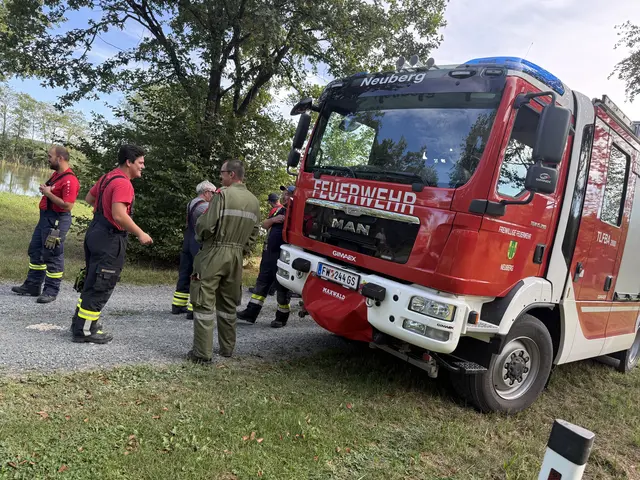 Rund drei Stunden lang arbeiteten die Feuerwehrmitglieder daran, die Situation unter Kontrolle zu bringen. | Foto: Bezirksfeuerwehrkommando Güssing