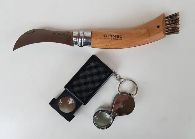 Ein gutes Messer und eine Lupe sind beim Sammeln wichtig. | Foto: Pucher