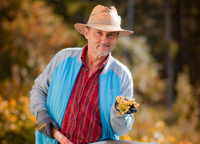 Harald Lagger in seinem Weingarten in Millstatt | Foto: zVg/Lagger