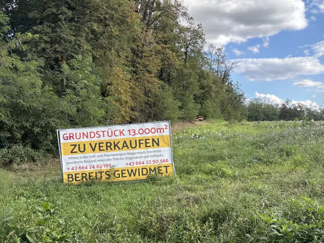 Das für den Bau geplante, gewidmete und gerodete Gelände in der Neudauer Straße soll verkauft werden. | Foto: Martin Wurglits