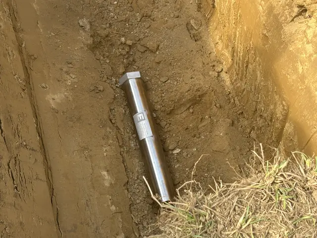 Foto: Waltraud Fischer