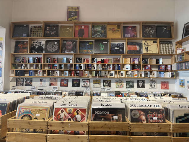 Von Klassik bis Rock ist nahezu jedes Genre vertreten. Ein persönliches Anliegen Lehners ist es, das Wienerlied zu erhalten und seinen Kunden näherzubringen. | Foto: Matthias Pandrea / MeinBezirk