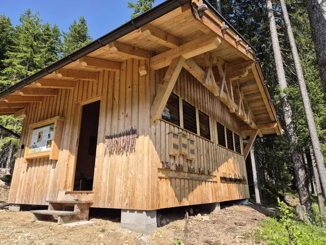 Auch optisch ein wahrer Hingucker: das neue Bienenhaus im Verwall. | Foto: KLAR! Arlberg/Patrick Baetz