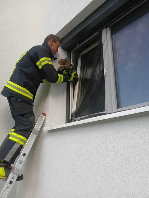 Die Florianis befreiten die Katze aus der misslichen Lage. | Foto: Freiwillige Feuerwehr Schart