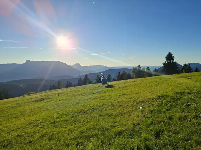Die Feuerwehr richtete einen Landeplatz unterhalb der Almen ein. | Foto: Freiwillige Feuerwehr Krispl