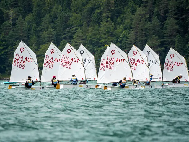 BILLA sorgte für Rückenwind bei den österreichischen Jugendmeisterschaften im Segeln am Achensee in Tirol.

 | Foto: Michael Rubendunst