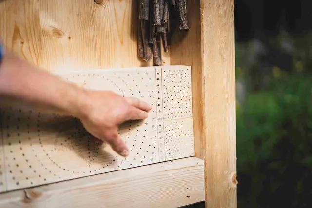 Beim neuen Bienenhaus und beim Themenweg gibt es viel zu erkunden. | Foto: KLAR! Arlberg/Patrick Baetz