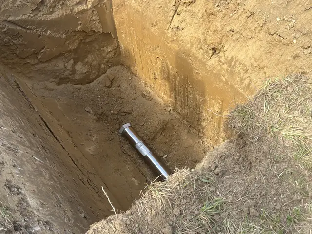 Foto: Waltraud Fischer