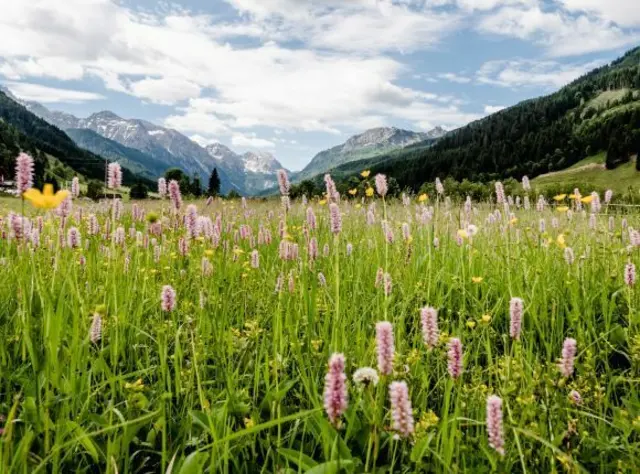 Wagrain-Kleinarl arbeitet an einem neuen KI-Projekt. | Foto: Wagrain-Kleinarl Tourismus/Eduardo Gellner