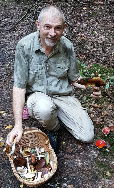 Es dürfen maximal zwei Kilo pro Person und Tag gesammelt werden. | Foto: Pucher