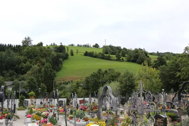 Der Hang auf der Sonnenseite im Steinbacher Ortszentrum wäre für die Betreiber der perfekte Ort für eine Photovoltaik-Anlage. | Foto: MeinBezirk