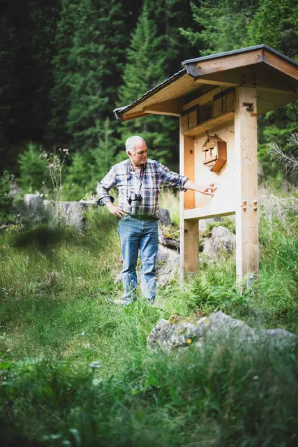 Der neue Wildbienen-Themenweg bringt den Besucher dieses wichtige Thema näher. | Foto: KLAR! Arlberg/Patrick Baetz