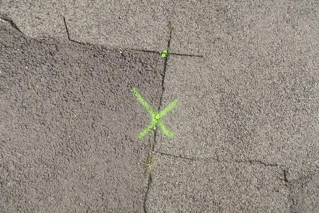 Foto: Patricia Hillinger/MeinBezirk