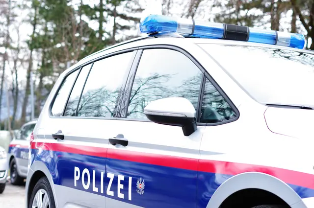 Alle vier wurden ins Polizeianhaltezentrum Klagenfurt überstellt (Symbolfoto) | Foto: stock.adobe.com/at/Wellnhofer Designs