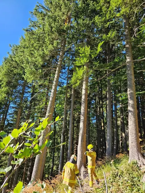 Die Feuerwehr Krispl war mit 20 Mann im Einsatz. | Foto: Freiwillige Feuerwehr Krispl