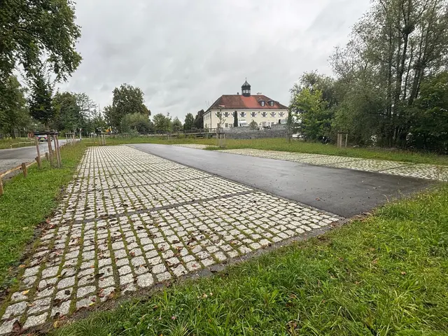 Kurios: Seitdem das Parken in Neuhaus gebührenpflichtig ist, sind die Parkflächen fast immer leer. | Foto: Franz Gruber
