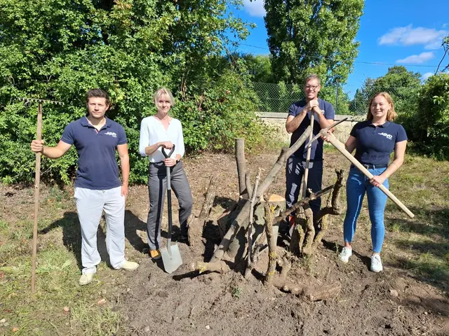 Die neue Käferburg in der Sportanlage Speising soll zahlreichen Käfern und weiteren Insekten Unterschlupf und Nahrung bieten.  | Foto: ASVÖ Wien