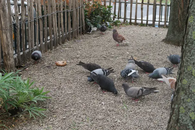 Foto: Patricia Hillinger/MeinBezirk