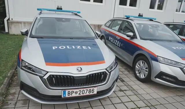 Der Gesamtschaden beläuft sich nach ersten Schätzungen auf einen mittleren fünfstelligen Eurobetrag (Symbolfoto) | Foto: MeinBezirk.at