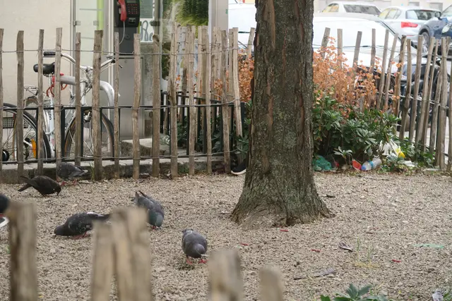 Foto: Patricia Hillinger/MeinBezirk