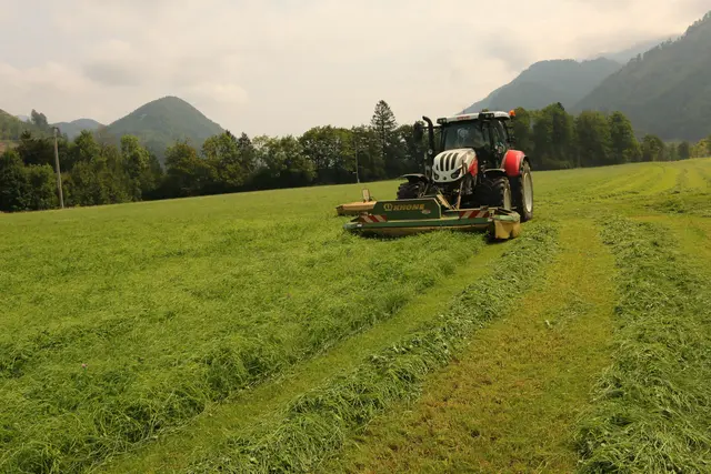Die heurige Erntesaison zeigt sich bislang von ihrer erfreulichen Seite. | Foto: Landwirtschaftskammer OÖ