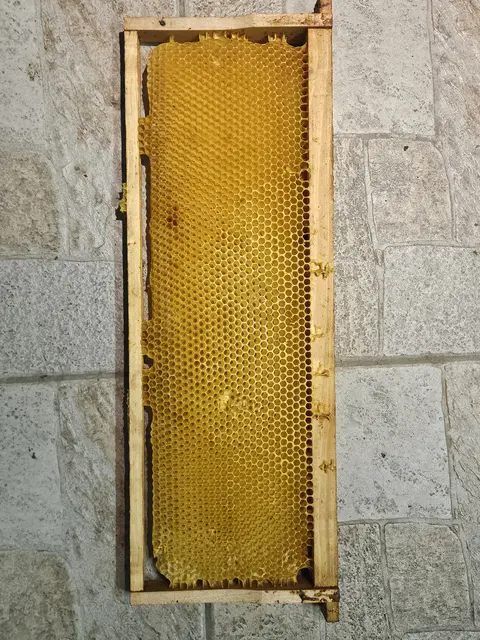 Foto: Christian Lehnhardt