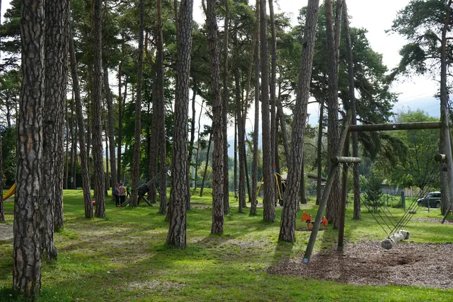 Der Waldspielplatz „Äuele“ wurde in den Folgejahren von der Gemeinde Zirl laufend erneuert und attraktiviert und erfreut sich seit Jahrzehnten als Veranstaltungsort und Freizeitoase für Jung und Alt großer Beliebtheit.  | Foto: Archiv/Lair