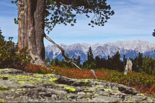Die Stadt Innsbruck lud ihre Seniorinnen und Senioren zu kostenlosen Ausflügen in die umliegende Bergwelt ein. | Foto: Innsbruck Tourismus