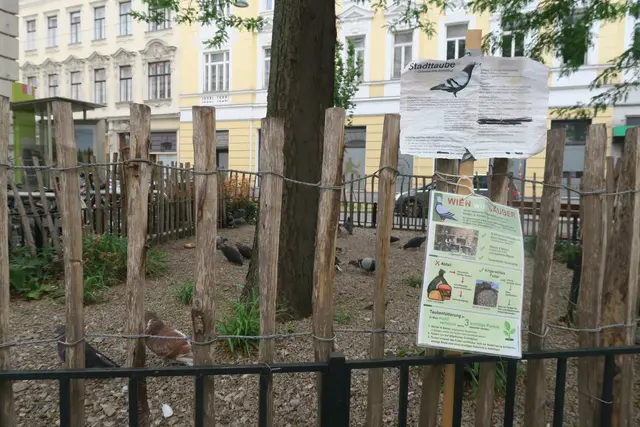 Foto: Patricia Hillinger/MeinBezirk