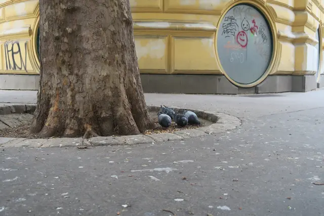 Foto: Patricia Hillinger/MeinBezirk