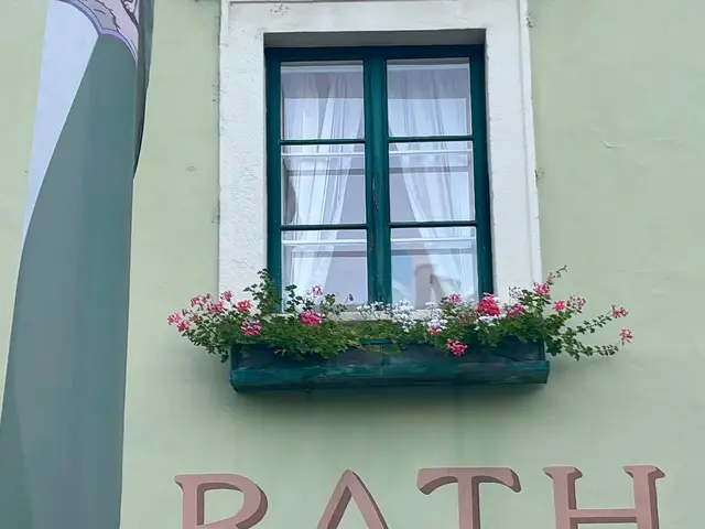 Vizebürgermeisterin Pauline Uitz (ÖVP), die ohne Zögern den Vordereingang des Rathauses wählte und die Geschehnisse aus dem Saalfenster beobachtete. | Foto: Markus Kahrer