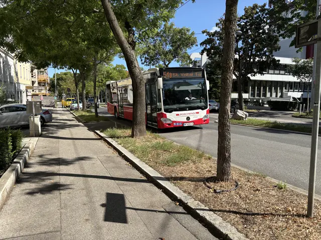 Die Linie 54B hat jetzt das St. Veiter Tor als Endhaltestelle.  | Foto: Lisa Kammann/MeinBezirk
