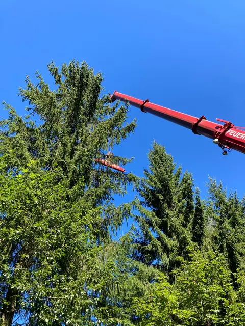 Foto: Freiwillige Feuerwehr Erdmannsdorf