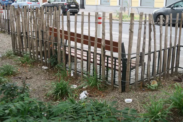 Foto: Patricia Hillinger/MeinBezirk