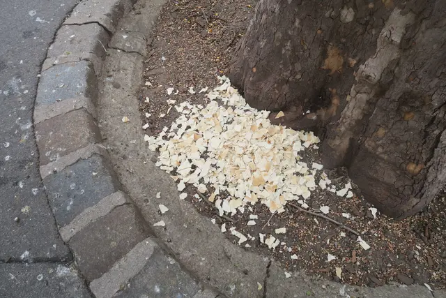 Foto: Patricia Hillinger/MeinBezirk