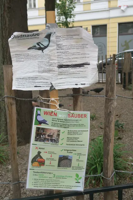 Foto: Patricia Hillinger/MeinBezirk