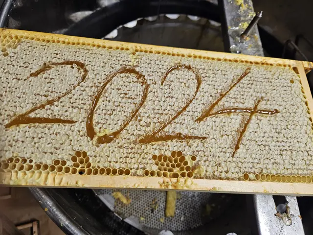 Foto: Christian Lehnhardt