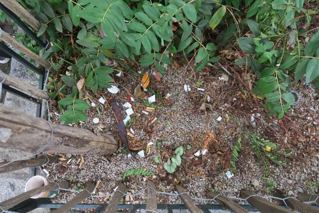 Foto: Patricia Hillinger/MeinBezirk