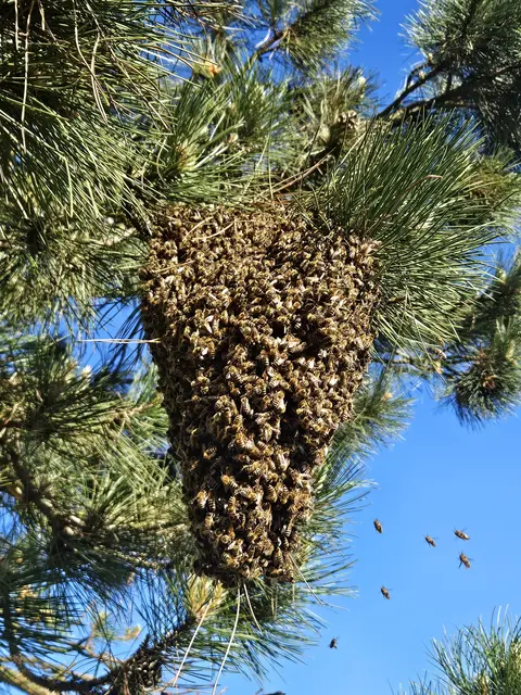 Foto: Christian Lehnhardt