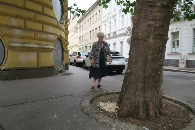 Foto: Patricia Hillinger/MeinBezirk