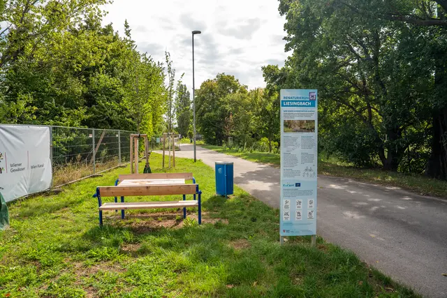 Der renaturierte Liesingbach soll Lebensraum für Flora und Fauna sowie Erholungsgebiet für Bewohnerinnen und Bewohner sein.  | Foto: Valentina Marinelić/MeinBezirk